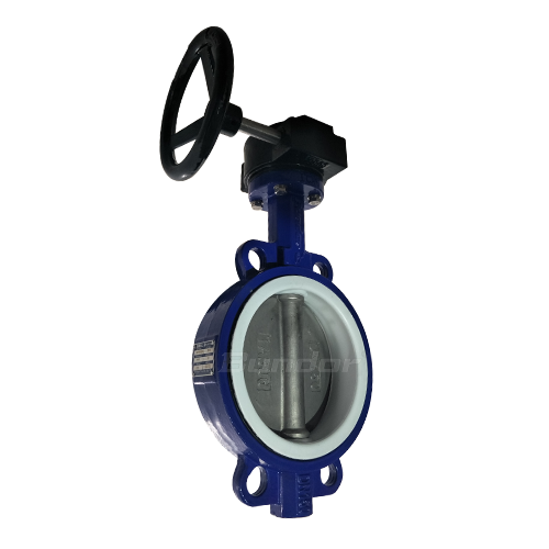 Worm Gear PTFE Seat Butterfly Valve2